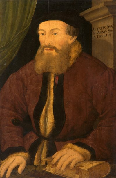 Ritratto di un Uomo, 1551 da Flemish School
