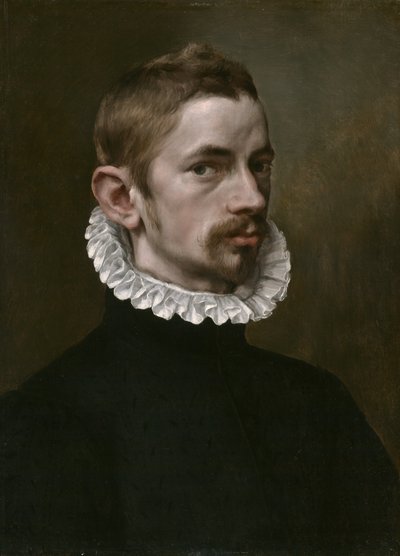 Ritratto di un uomo da Flemish School