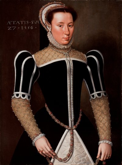 Ritratto di una donna, 1556 da Flemish School