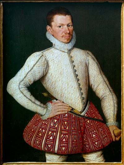 Ritratto di un gentiluomo da Flemish School
