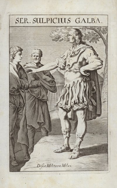 Ser Sulpicio Galba da Flemish School