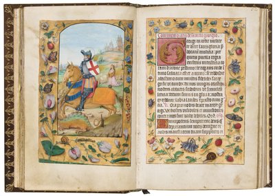 San Giorgio, illustrazione da 