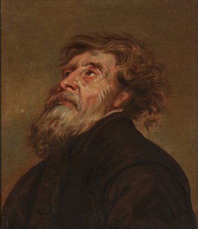 Studio di un Uomo da Flemish School