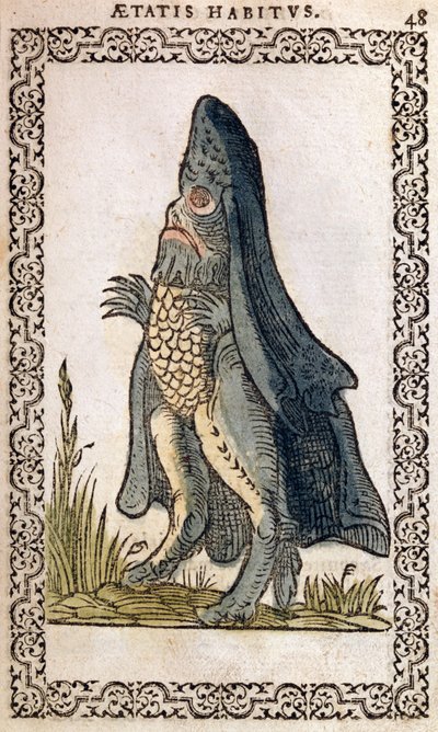Il vescovo del mare o mostro marino, illustrazione da Omnium fere gentium nostraeque aetatis Nationum Habitus et Effigies di Jean Sluperji, Anversa, 1572 da Flemish School