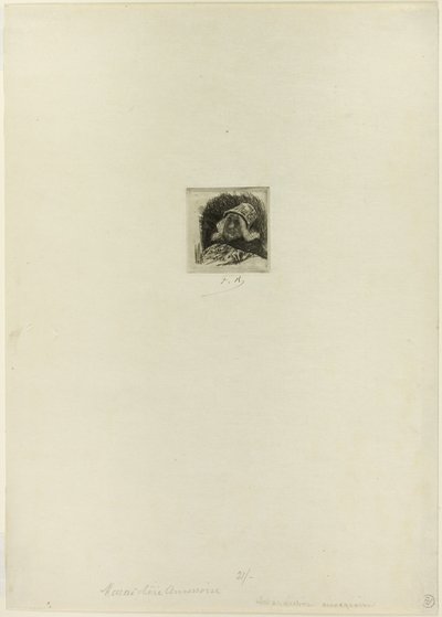 Giardiniere di mercato fiammingo da Félicien Rops
