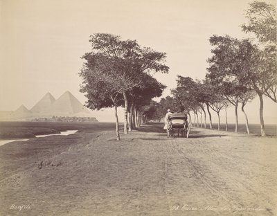 Cairo. Viale delle Piramidi, ca. 1870 da Félix Bonfils