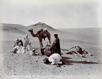 Cammellieri egiziani durante una pausa nel deserto. In primo piano, due membri del piccolo gruppo sembrano pregare da Félix Bonfils