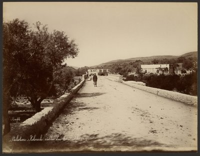 Palestina - Kolonick, Valle del Terebinto da Félix Bonfils