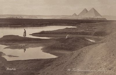 Piramidi di Giza, c.1900 da Félix Bonfils
