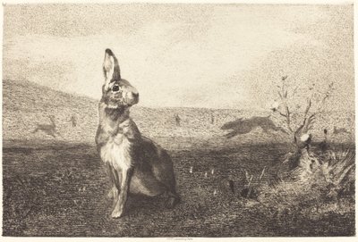 La lepre da Félix Bracquemond after Albert de Balleroy