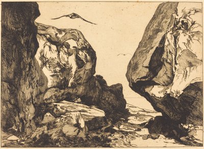 Gola nelle rocce (Gorge dans les rochers) da Félix Bracquemond after Jules Laurens