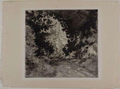Il Chemin de Coutures, a Sèvres da Félix Henri Bracquemond