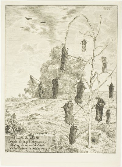 Talpe da Félix Henri Bracquemond