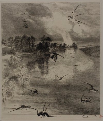 Rondini da Félix Henri Bracquemond
