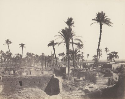 Interno di un villaggio arabo da Félix Teynard