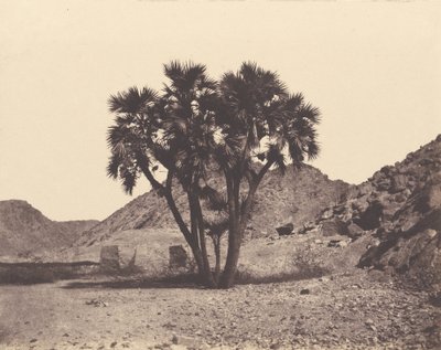 Egitto e Nubia. Siti e Monumenti...Atlante Fotografico...Seconda Parte. Nubia da Félix Teynard