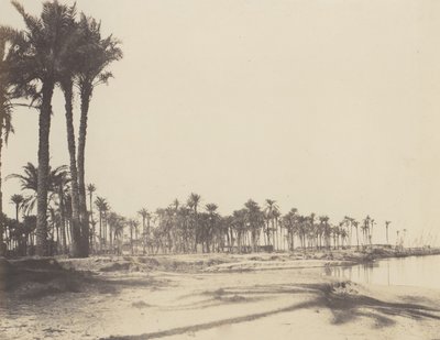 El-Nâcerah, Dattieri, Rive del Nilo e Barche, 1851-52, stampato 1853-54 da Félix Teynard