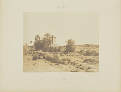 Karnak (Tebe). Viale delle Sfingi - Vista generale dal punto G da Félix Teynard