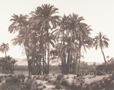 Karnak, Gruppo di Dattieri visto dal Punto A, 1851-52, stampato 1853-54 da Félix Teynard