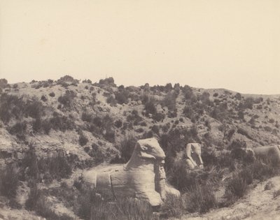 Karnak Tebe, Sfinge a Testa Umana e a Testa di Ariete, 1851-52, stampato 1853-54 da Félix Teynard