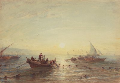 Pesca al tonno all