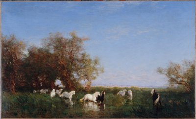 Cavalli selvaggi in Camargue, tra il 1890 e il 1895 da Félix Ziem
