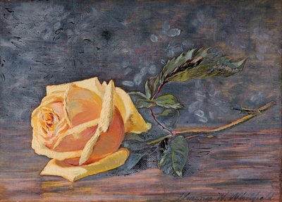 Rosa gialla, 1887 da Florence Westwood Whitfield