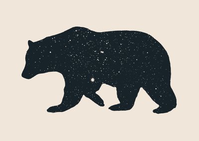 Orso da Florent Bodart