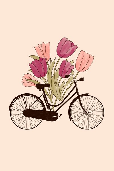 Bicicletta e fiore: Amsterdam da Florent Bodart