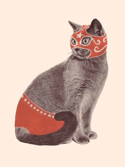 Lottatore di gatti da Florent Bodart