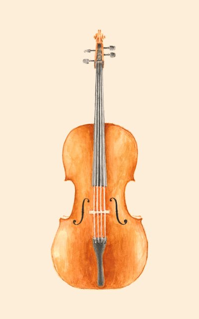 Violoncello da Florent Bodart