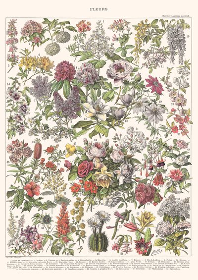 Fiori II - ASTER EDITION, 2023 da Florent Bodart