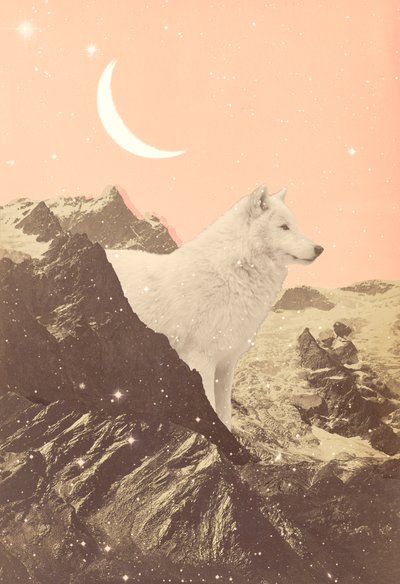 Lupo Gigante nelle Montagne Rosa, 2021 (collage) da Florent Bodart