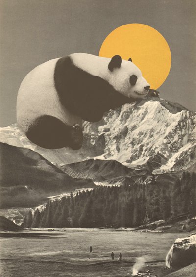 Panda che Dorme nelle Montagne da Florent Bodart
