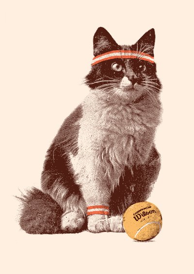 Gatto da tennis, 2021 da Florent Bodart