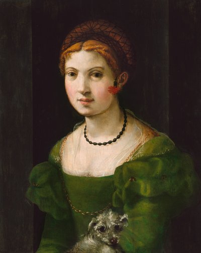 Ritratto di una giovane donna da Florentine 16th Century