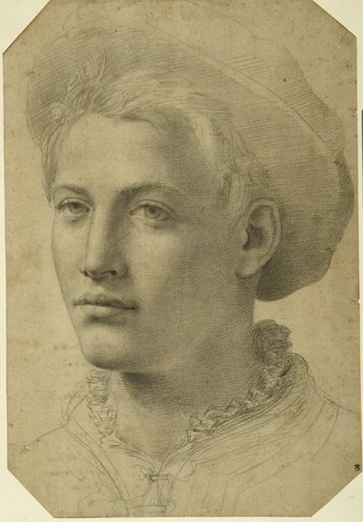 Ritratto di un giovane con un berretto, c.1530-40 da Florentine School