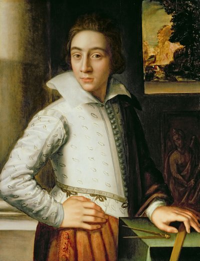 Ritratto di un giovane uomo, metà del XVI secolo da Florentine School