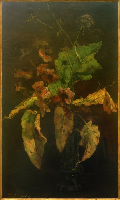 Anemoni e foglie da Floris Verster