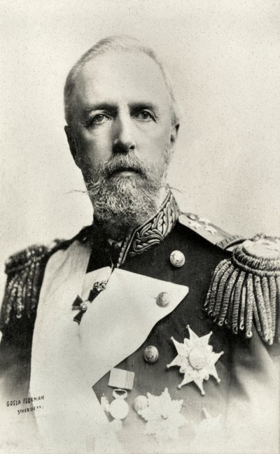 Ritratto di Oscar II , re di Svezia e Norvegia (foto) da Florman Gosla