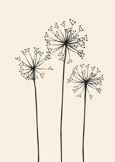 Fiori di tarassaco in stile minimalista da Flow Line