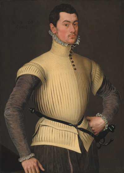 Ritratto di un giovane uomo da Follower of Antonis Mor
