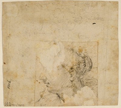 Testa femminile di profilo a sinistra; Schizzo di alberi e edificio da Follower of Jacopo Bassano