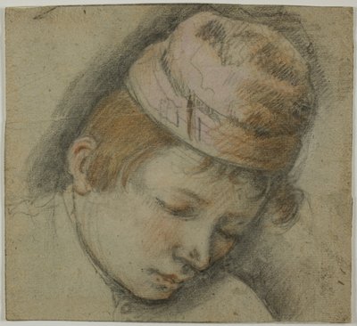 Testa di giovane con berretto rosa da Follower of Jacopo Bassano