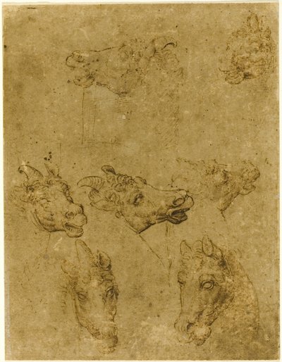 Teste di cavalli e unicorni da Follower of Leonardo da Vinci