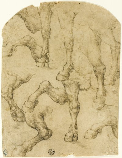 Schizzi di zampe di cavalli (o dromedari) (recto); colonne (verso) da Follower of Leonardo da Vinci