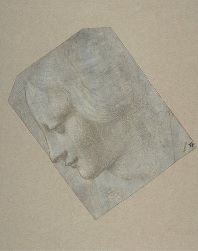 Testa di donna di profilo rivolta a sinistra da Follower of Leonardo da Vinci.