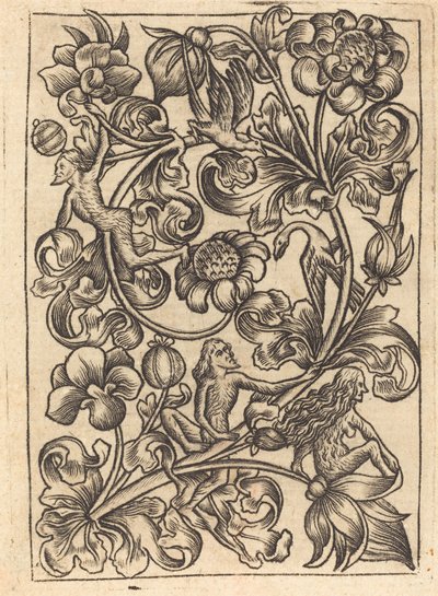 Ornamento con selvaggi da Follower of Master E.S.