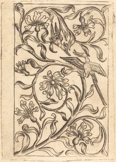 Ornamento di vite con due uccelli da Follower of Master of the Playing Cards