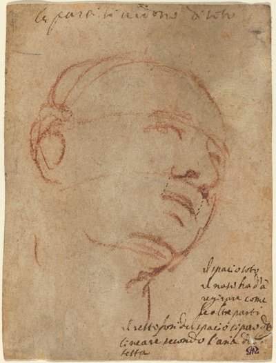 Testa di un uomo da Follower of Michelangelo